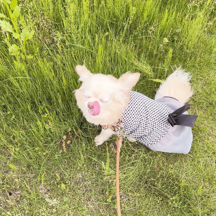 9564f8f1 a2fd 40bb aa59 d9b03aea0b7f 1747986496400