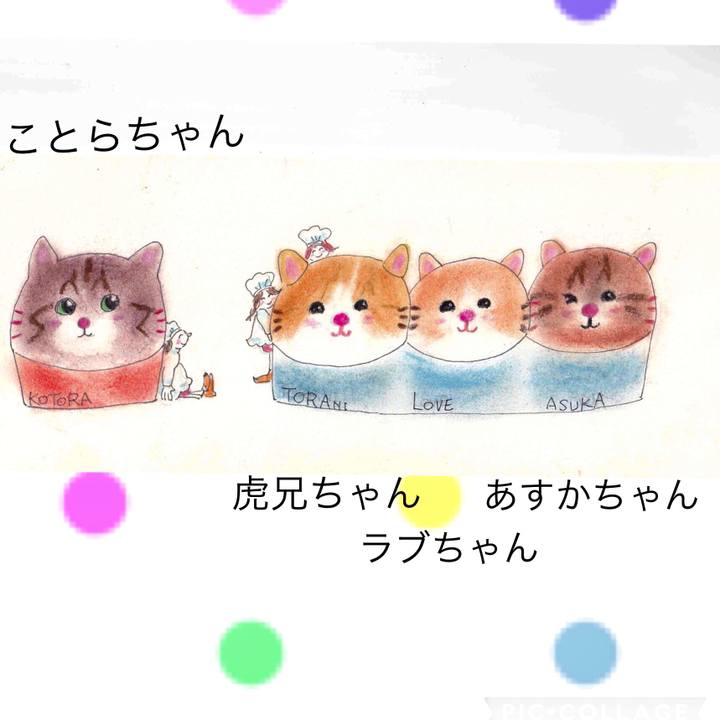 95652c2d 677e 4d41 974f f15b85710942 1628863423258