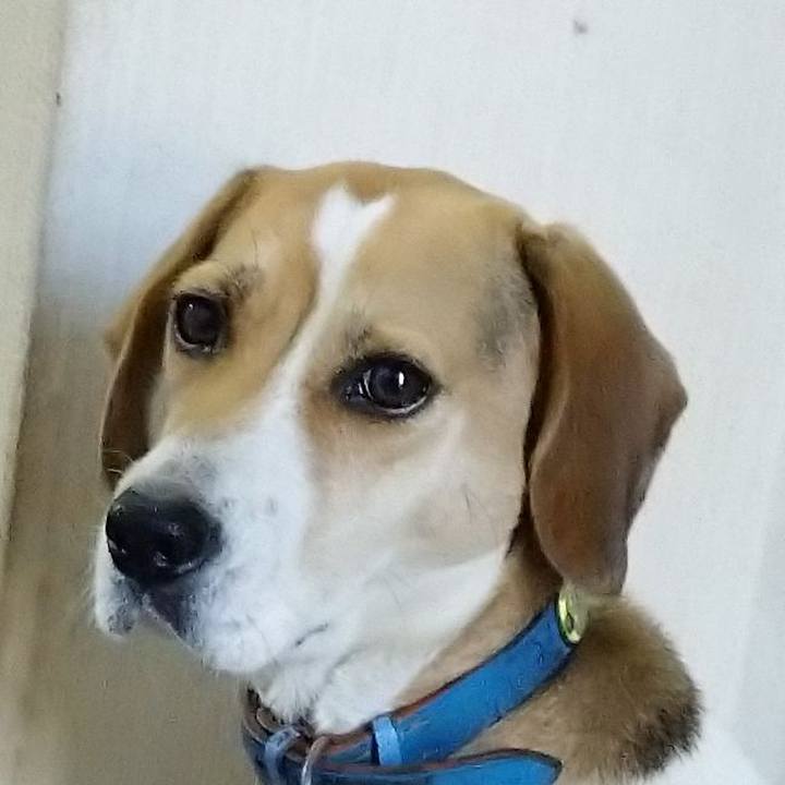 956538b5 84f1 4af8 b181 e934dfd06cb9 1605761269798