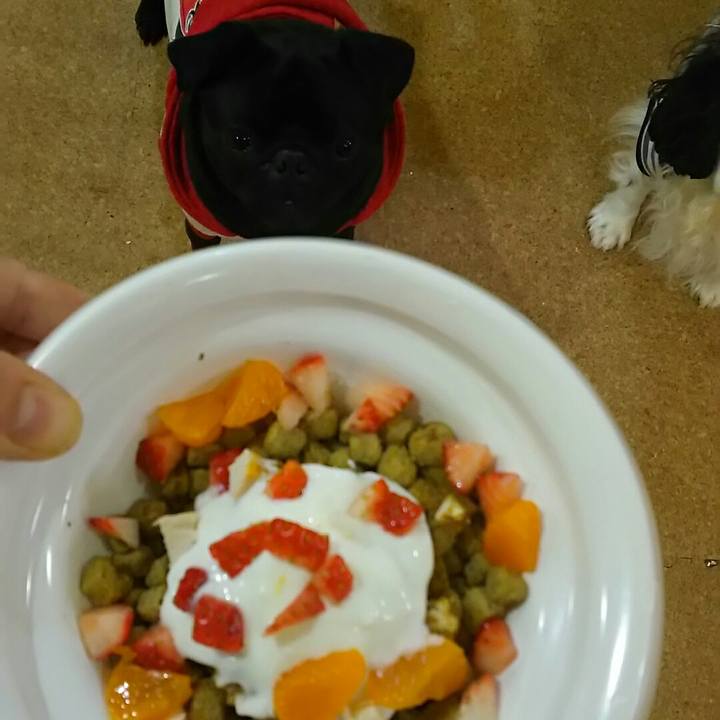 956559b5 7019 4717 87f4 a47474a65f90 1546778242074