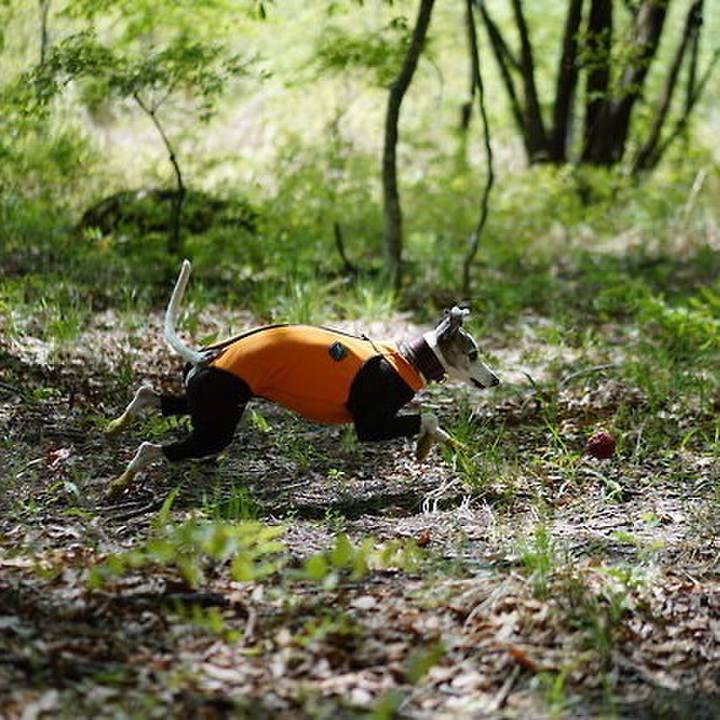 95655e70 145a 4dca 9fe5 129757b49e84 1527758645079