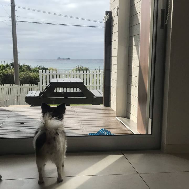 95656296 5962 456f b541 f083328eb180 1729486226050