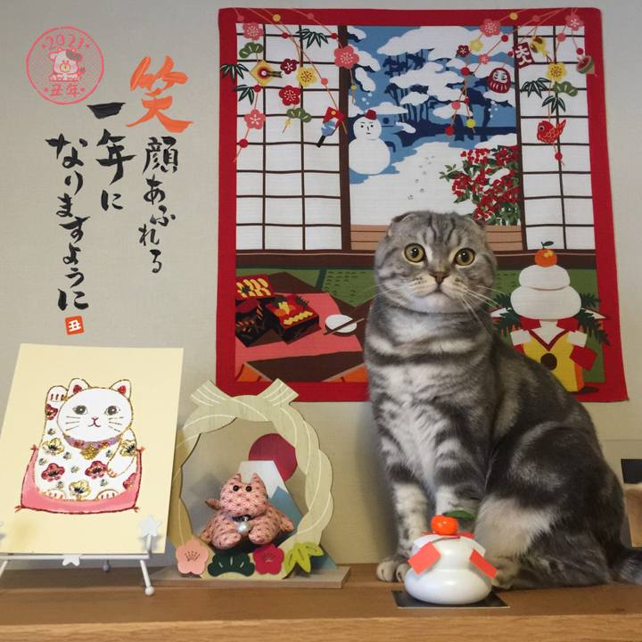 956579d9 7d32 458f 8a6f 8f3df03e5b4a 1609565426768