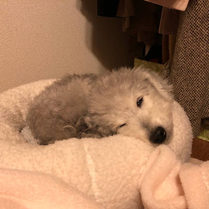 9565a0a3 d3e2 406b 9063 d607d8820036 1579352299059