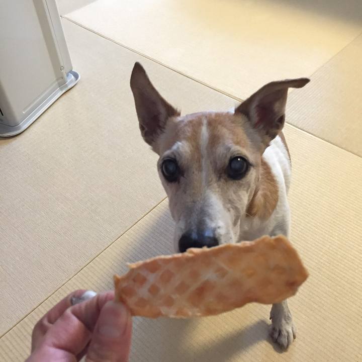 9565b46c d692 46b5 aa55 72d822767aa2 1539703657736