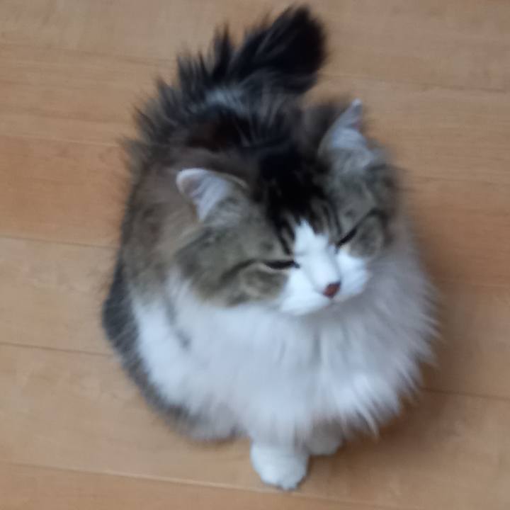 9565e3a1 ea62 473a 859d 45f96dc9bbe9 1614471529373