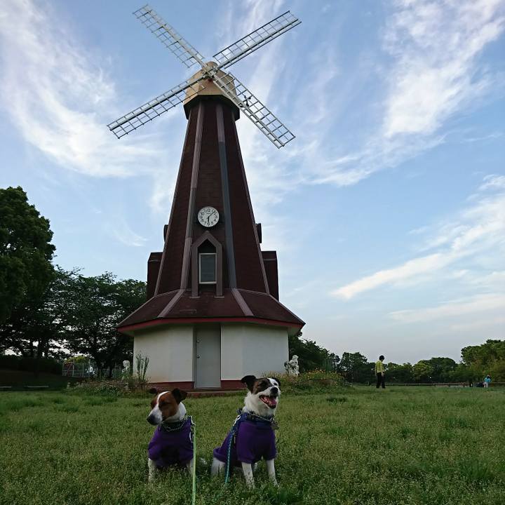 9566105a fe46 416a 8bcc ec16318f18ff 1589707941580