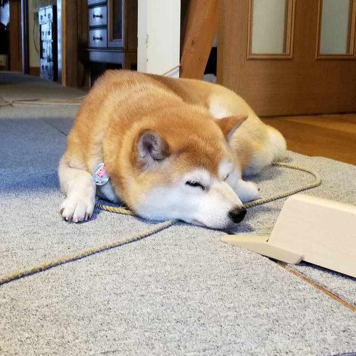 95663f18 02dc 4861 8e96 e58ddbec0945 1592521393611