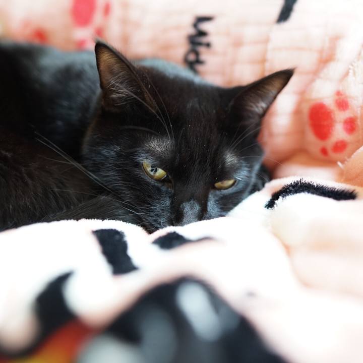 95666bb6 b623 46c9 8a24 683177955d3c 1545351013434