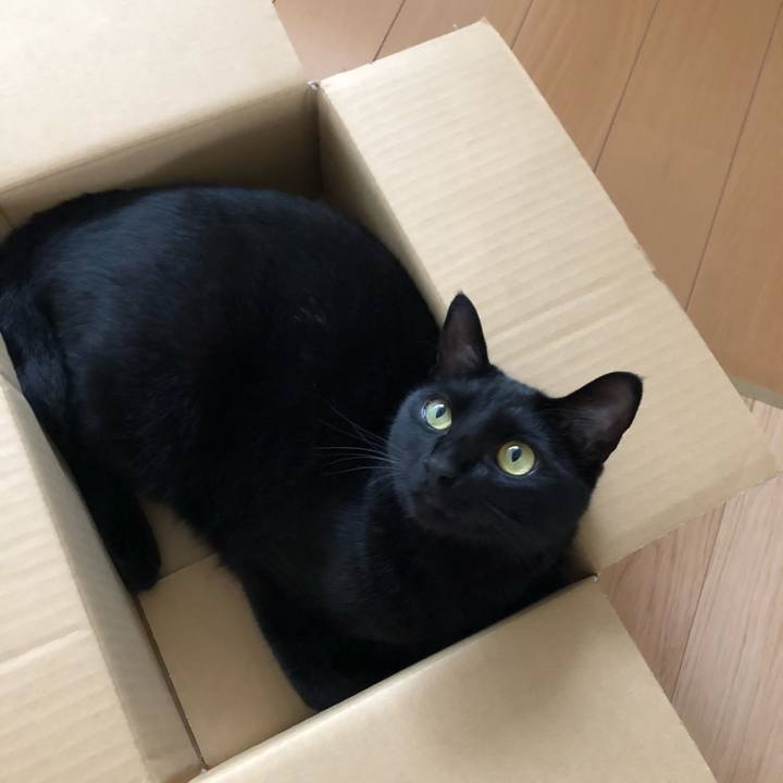 9566a8e0 1ee7 4dfb aeb4 853cd0d7caba 1527120761884