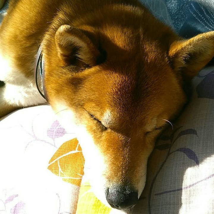 9566bba2 7f95 474b 8f12 40c18a58630a 1550628044278