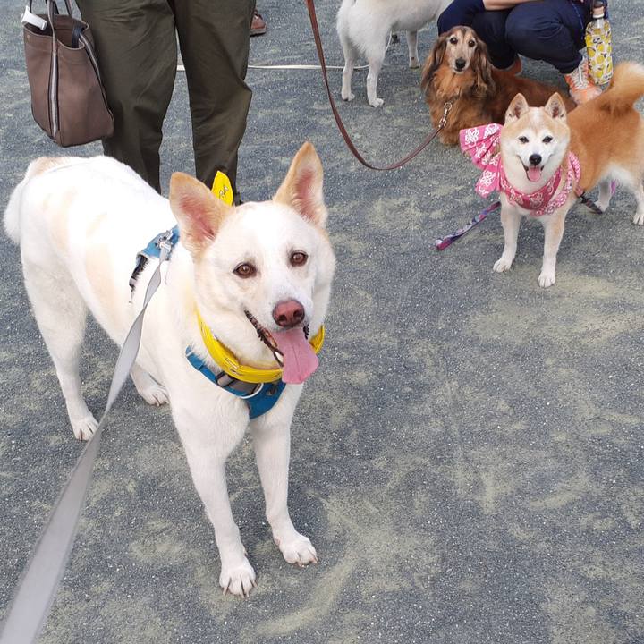 9566c9ae f05b 412f 954b 245cca450f2a 1659225764071