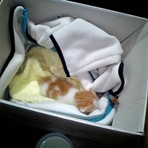 9566def8 8cff 480b 90df 0337f0546009 1665240514089