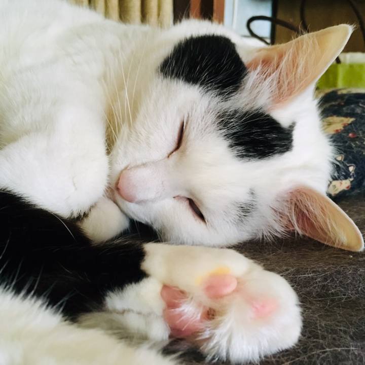 9567015c 3215 4d84 aa08 fcb8a5616bb7 1559529900252