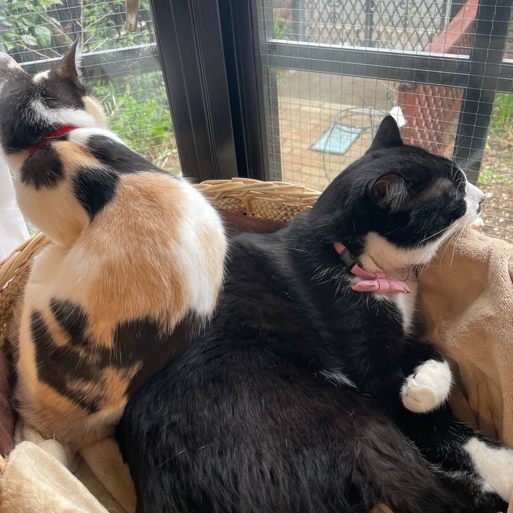 95671f45 aed4 438f b86a 99fa9a84ca8c 1712186060397