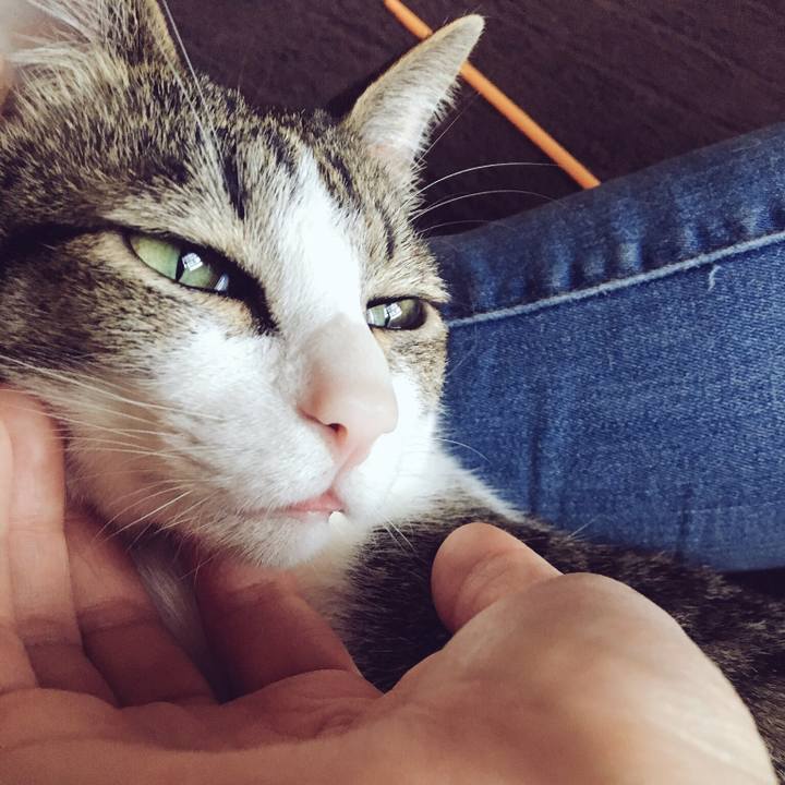 95672d9f 7349 40fe b8ae b3cd87712f90 1522748717925