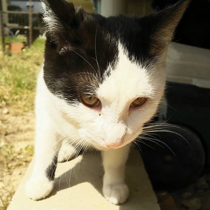 95676543 8819 43ed b36d bf5c80ab12d4 1553656244328