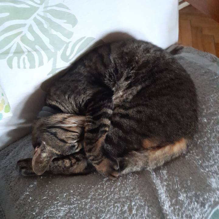 95677bc8 c9f0 4939 b6f0 15bd42d8cb9d 1757469713661