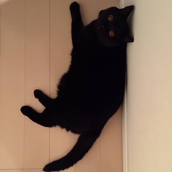 95677cbe f4ee 455b ac1c a18f48db0875 1540214347821