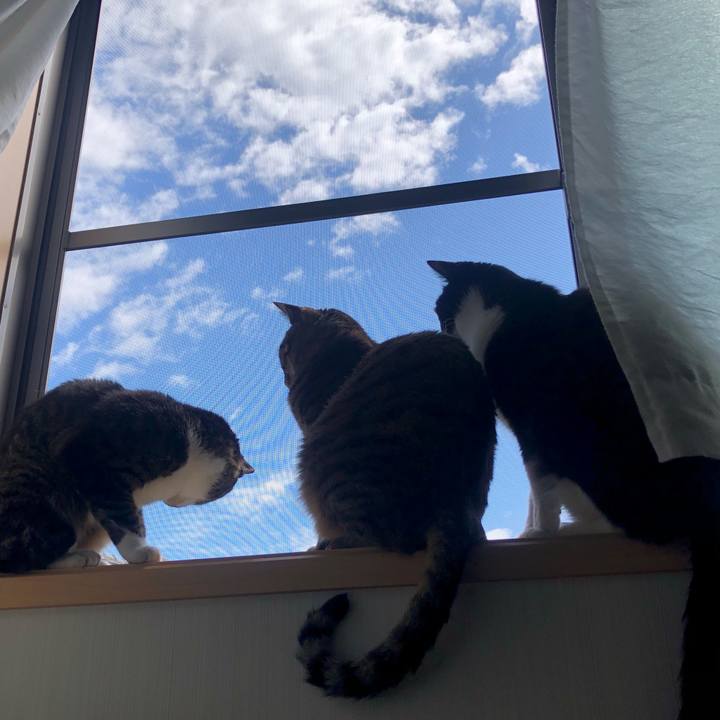 9567844b d0b1 405a 8738 b6fbfe087fe7 1618020603774