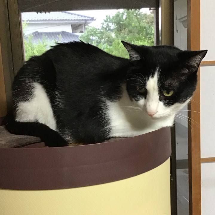 956790d7 2442 42c1 ac8e a0f18ec8593f 1685270732998