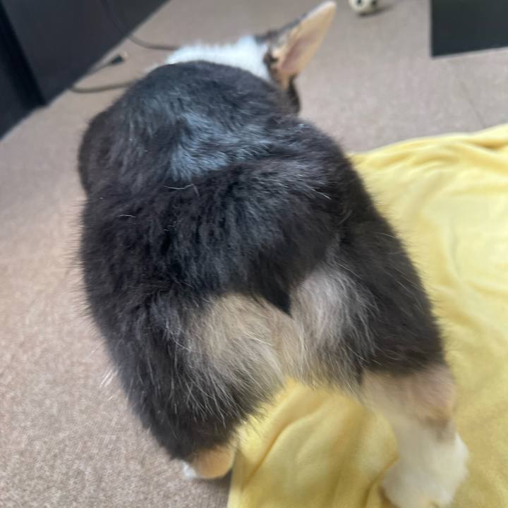 956796ea 5c15 41b4 8d21 ab2404e8f997 1771030689308