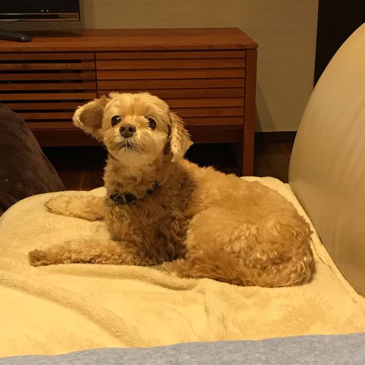 9567a175 bc34 45c8 8eb2 47c563e9cdda 1572941087913