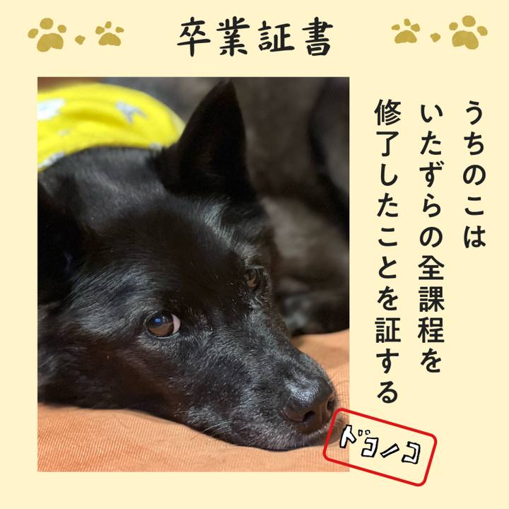 9567cb78 db02 4e69 8f75 0217344de96e 1772098206467