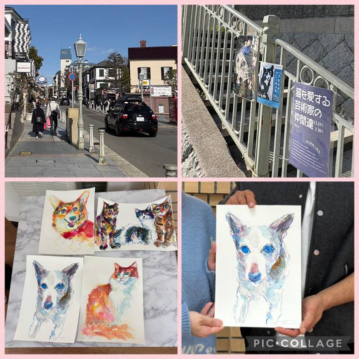 9567e6c2 cb76 4725 864f 7c5f87699655 1772956537551