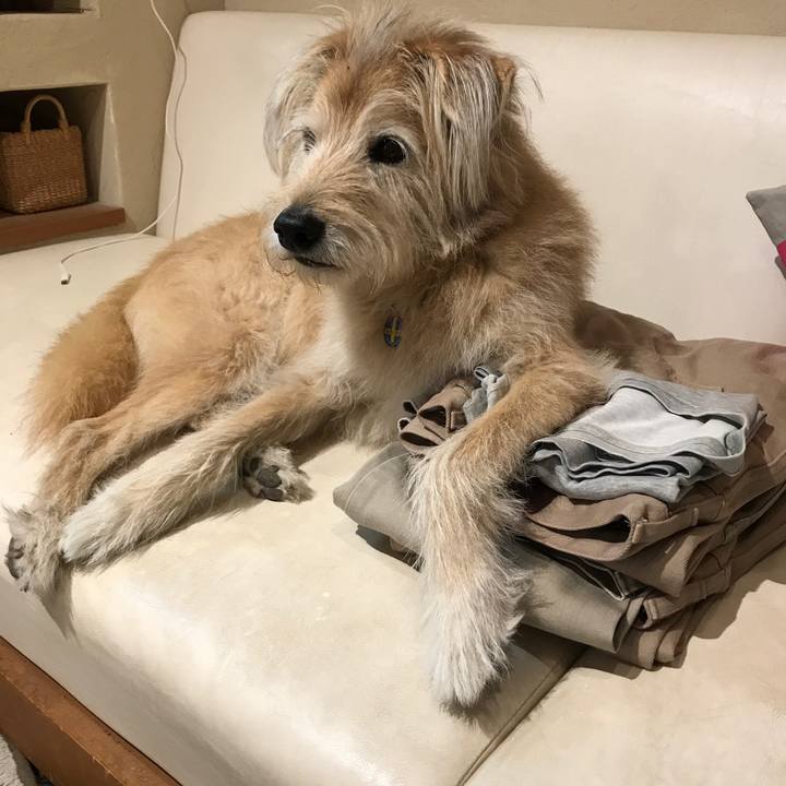 9567f60d e944 4406 9161 8aa319be276b 1606872464337