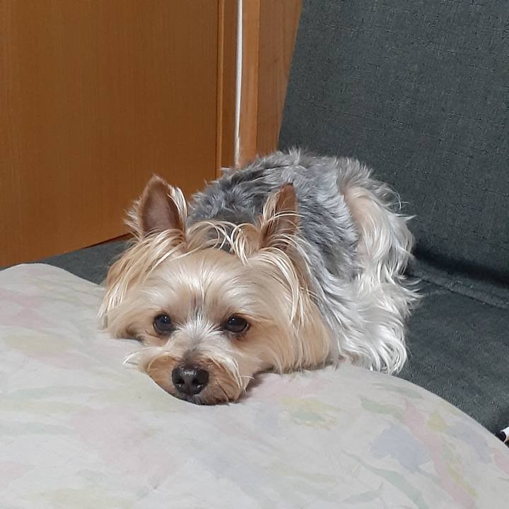 95680668 3676 40b1 a0eb a6298edcbaf6 1683415387301