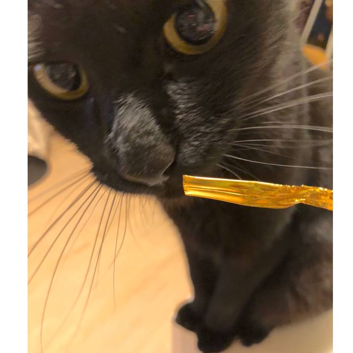 95682420 95b4 4086 9989 b40167406cc1 1529752686624