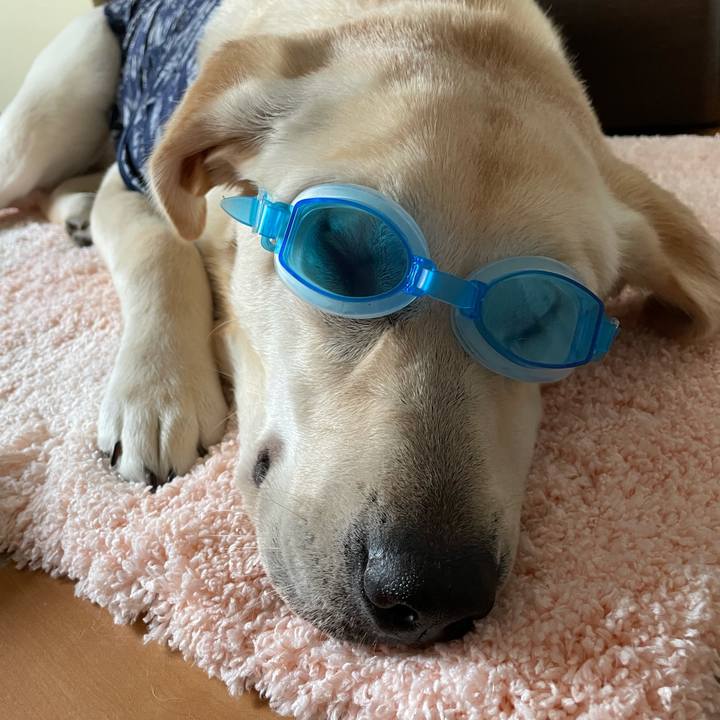 95684051 08da 4e89 ba01 6ba519122a4e 1625475930481