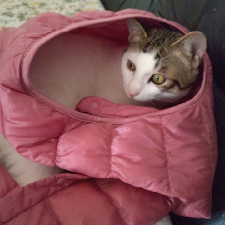 95686cc5 bf48 45c3 a933 fd979056c82f 1651896145774