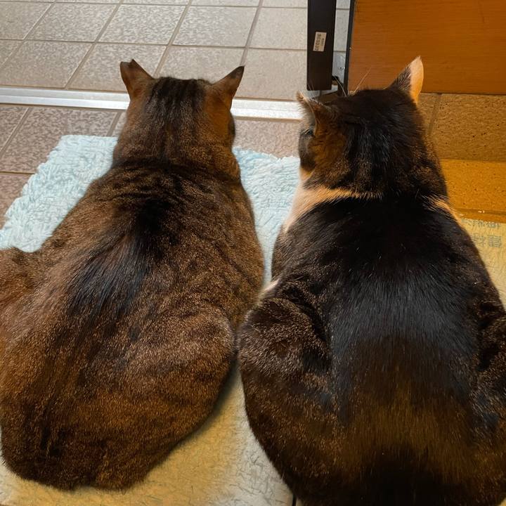 956876a8 211b 4dc9 9c28 65b04a0e95d4 1613988232257