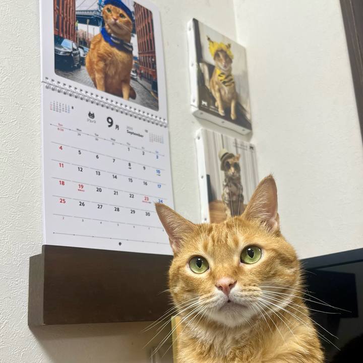 9568a0a5 d718 48ff a4fc 5f3ca8e930a2 1661982481859