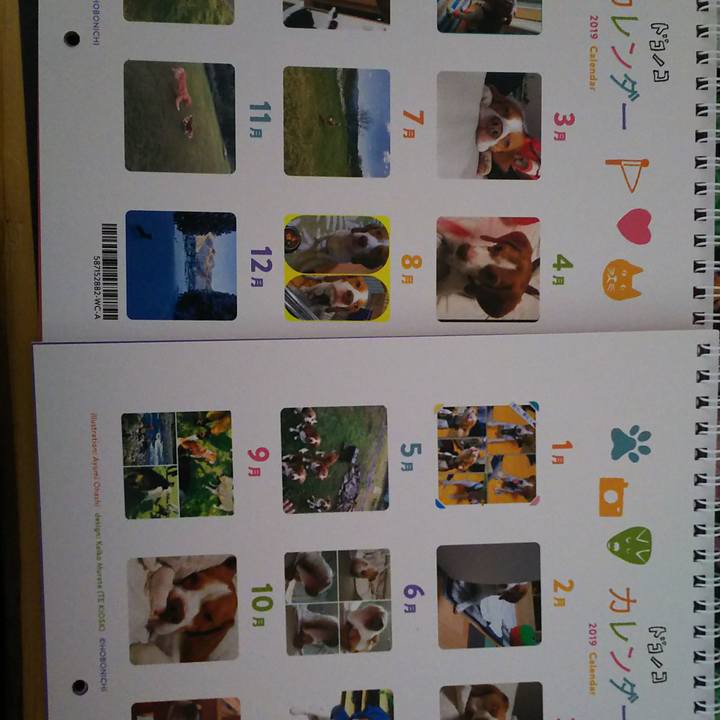 9568eff8 a543 44d4 878a cfb4e8095842 1546080370660