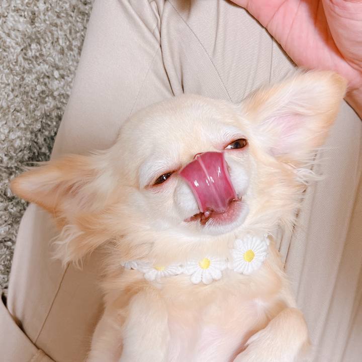 9568f1c2 9b78 4017 9804 6aa4a2f1548c 1659319327506