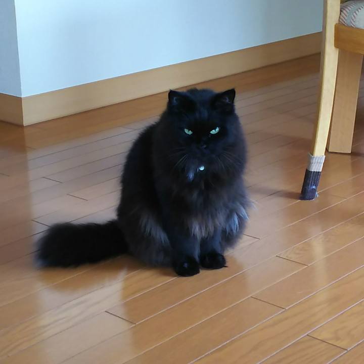 9568fffe a71b 4c85 9cca 3279f3550f0a 1527721545712