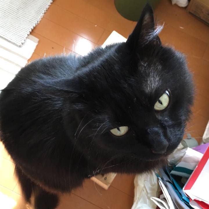 95691bbc b469 4459 89cd 448f3f448274 1522125088484