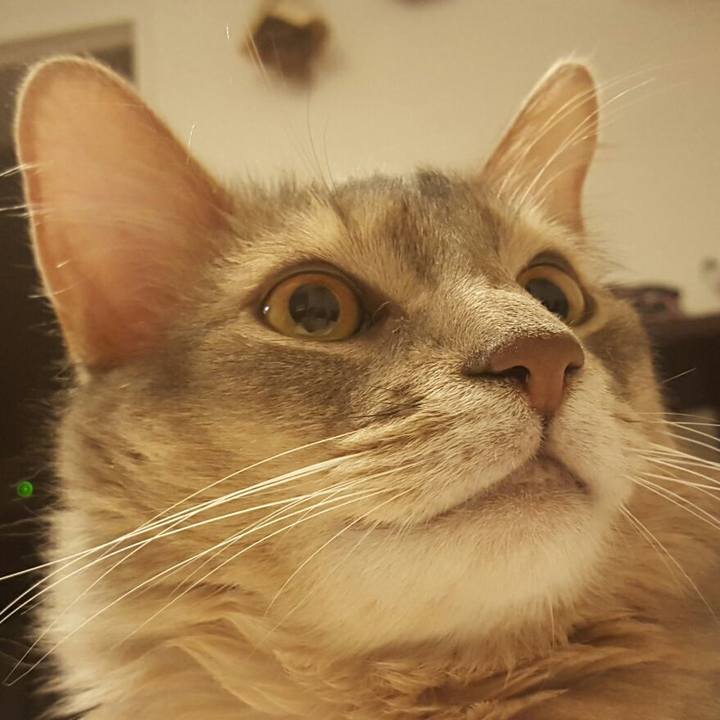 9569530d efe5 40e3 b36e 2f89dcd91895 1529115297054