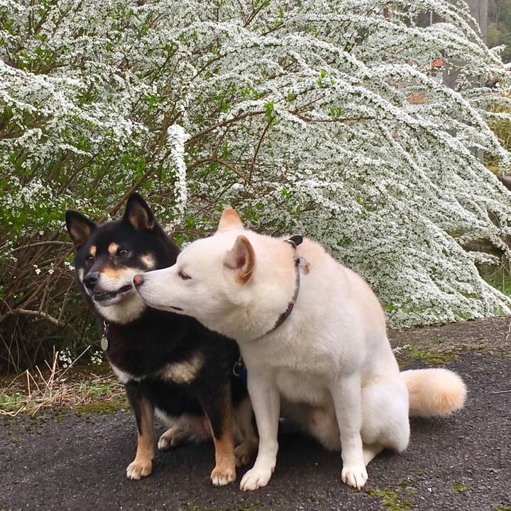 95695d98 cc01 47ec b162 6b5fb206d9e9 1522313789523