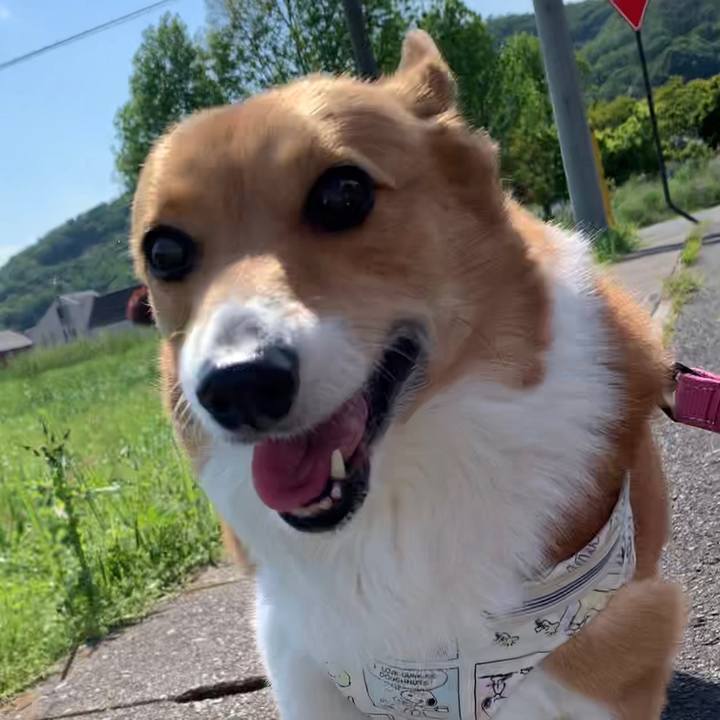 95696666 e449 4522 bc86 f33f809df82c 1651472534898