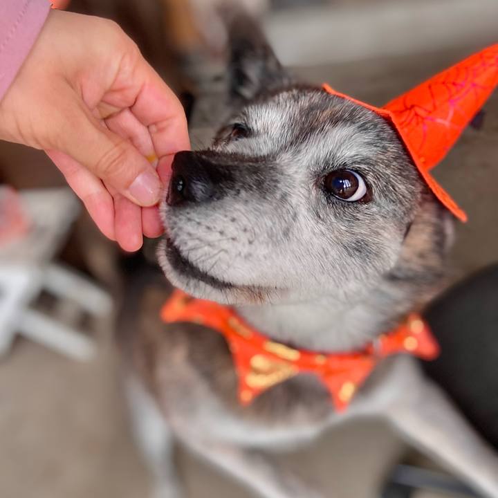 95696773 6d83 4d91 baa9 b7975de1f3ca 1730253121868