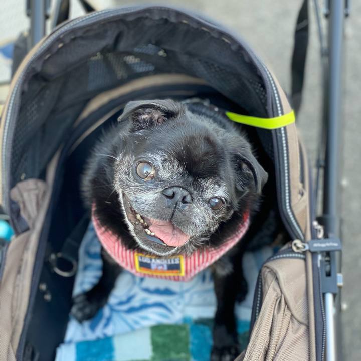 9569c739 663b 4e37 930a bcf603831dad 1601884369765