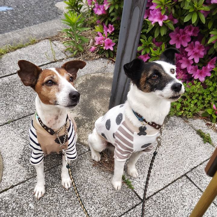 9569d605 170d 40c6 876d 935e1ee7e7df 1745791576004