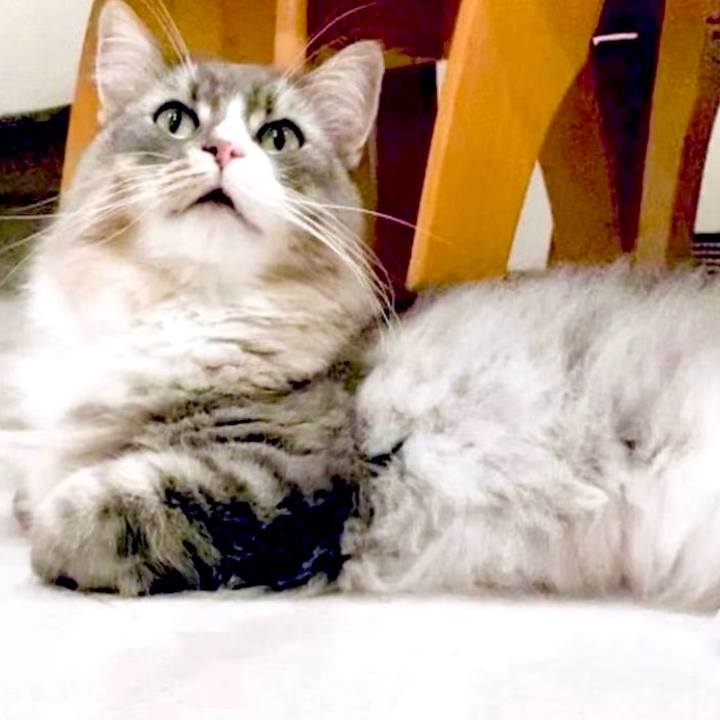 956a0c3f 3ab3 4906 b9c6 c4ec482e7fcc 1666197303419