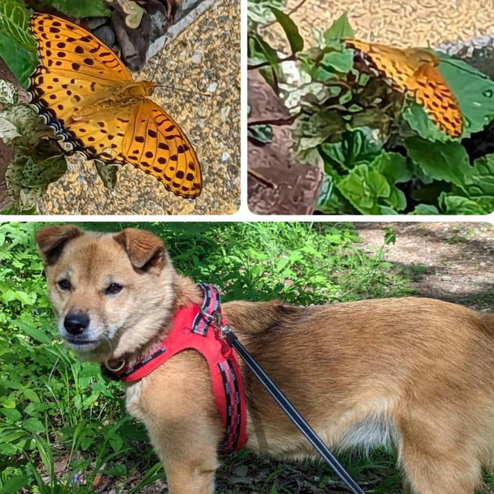 956a2320 17b1 47fb 9b11 ba084bb8417f 1688907779648