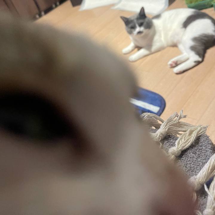 956abf61 b367 4948 aaba 2458b224f019 1630920737243