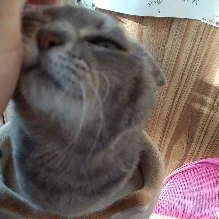 956aecb3 0d6c 4dc5 a90f 6222785cbe11 1606605982358